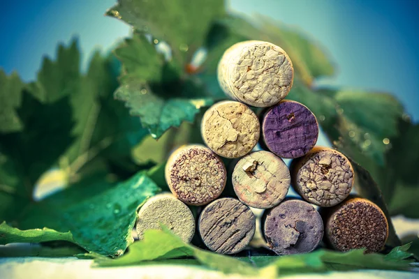 Corks wine with grape leaves — Stock Photo, Image