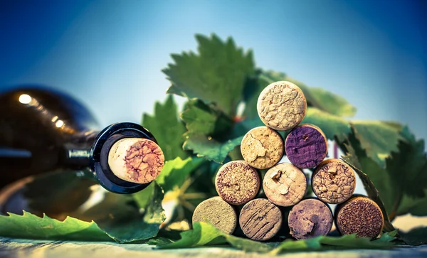 Rolhas de vinho e folhas de uva — Fotografia de Stock