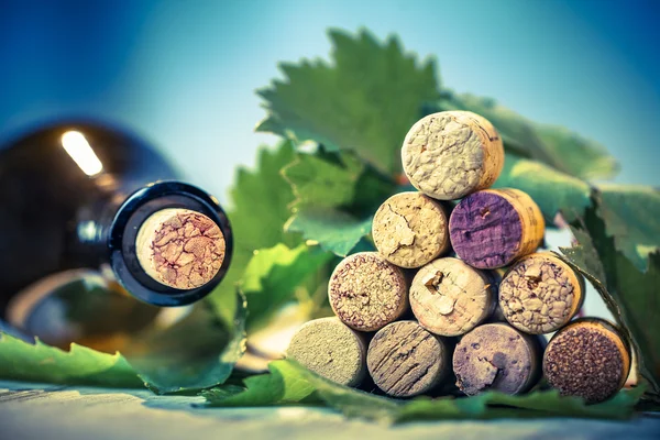 Wine corks and grape leaves — Stock Photo, Image