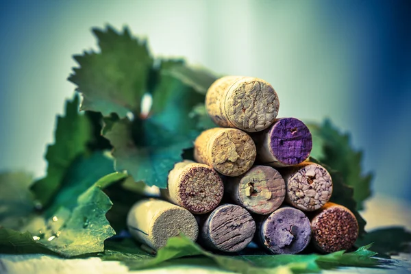 Corks wine with grape leaves — Stock Photo, Image