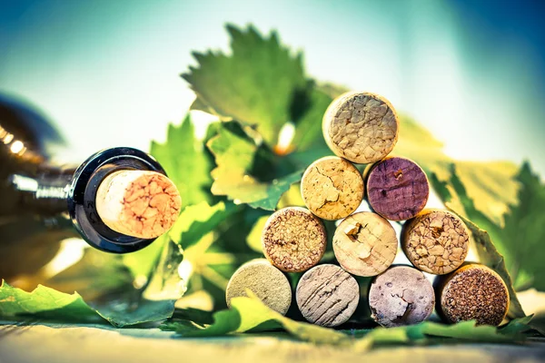 Wijnkurken en druivenbladeren — Stockfoto