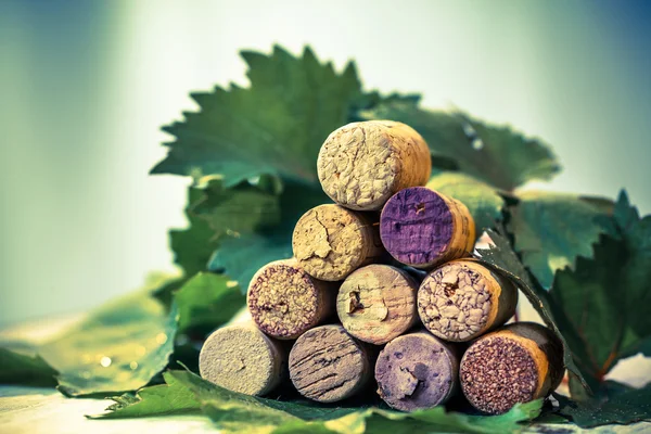 Пробки вина с виноградными листьями — стоковое фото
