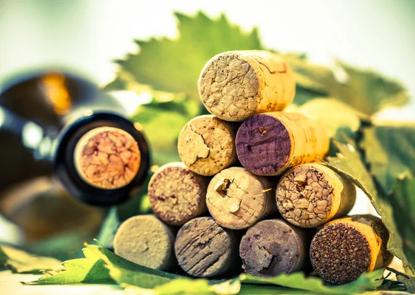 Wine corks and grape leaves — Stock Photo, Image