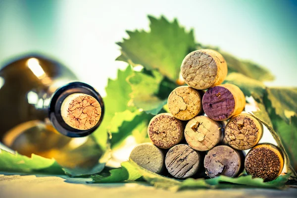 Wine corks and grape leaves — Stock Photo, Image