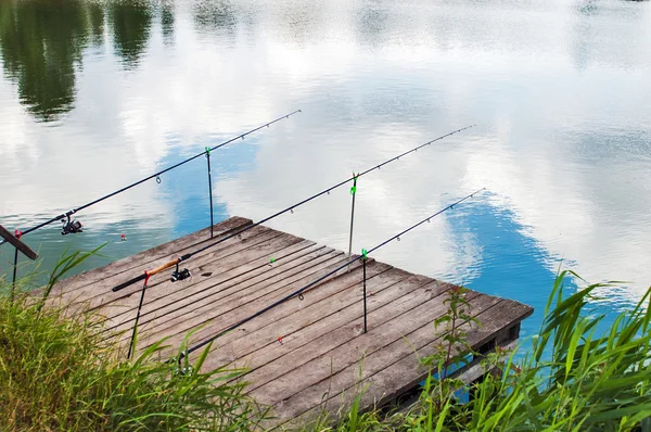 Fischerei Spinnen — Stockfoto