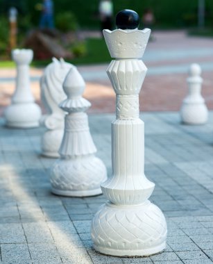 satranç taşları