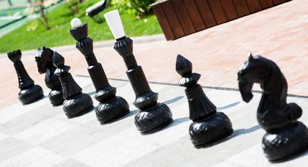 Chess pieces — Stock Photo, Image