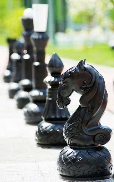 Chess pieces — Stock Photo, Image