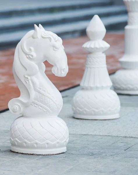 Chess pieces — Stock Photo, Image