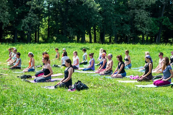 Gran grupo de yoga haciendo ejercicio al aire libre — Foto de Stock