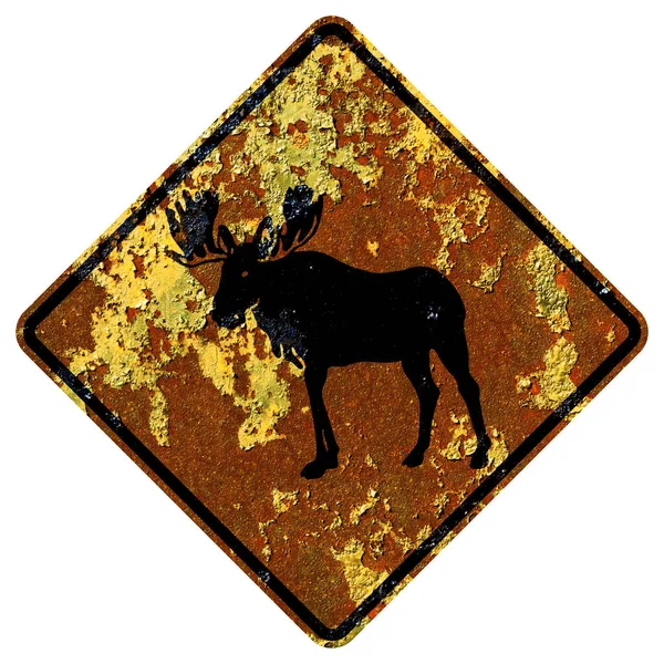 Old Rusty American Road Sign Moose Crossing — Stock Photo, Image