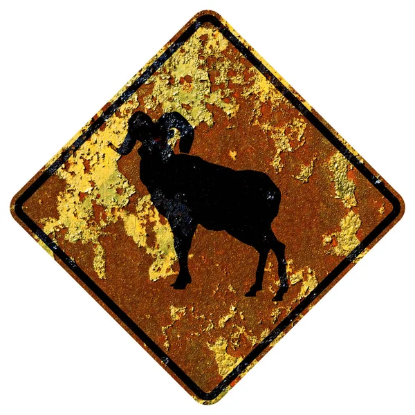 Old Rusty American Road Sign Ram Crossing — Stock Photo, Image