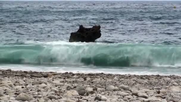 Deniz surf — Stok video