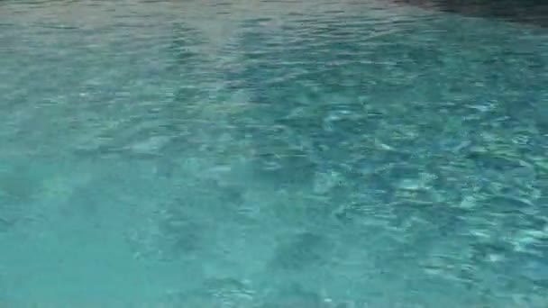 Плавальний басейн — стокове відео