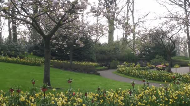 Beautiful spring park — Stock Video