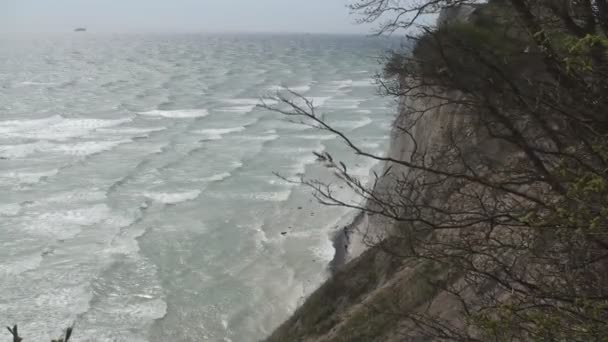 Mons Klint — Video