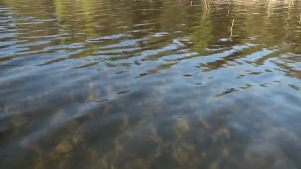 River rippled surface — Stock Video