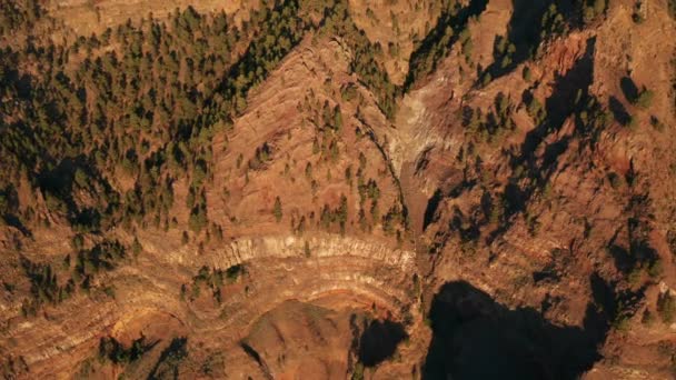 Lumba Udara Memiringkan Atas Hutan Tumbuh Lereng Curam Tebing Kaldera — Stok Video