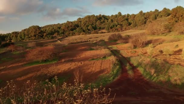Lalka Powietrzna Nad Brązową Ziemią Plantacja Rolnicza Drzewami Migdałowymi Oliwnymi — Wideo stockowe