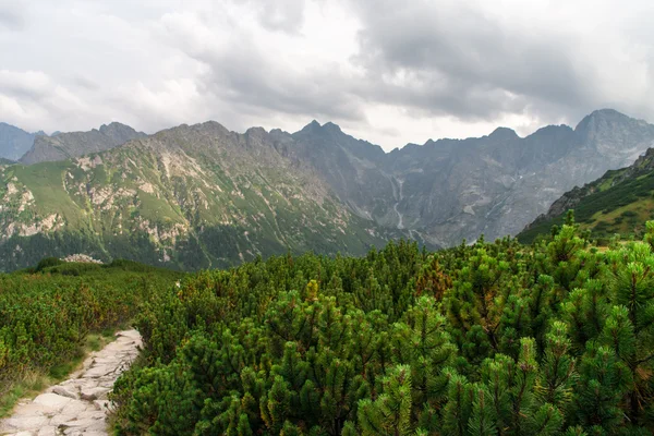 Tatry bergen weergeven — Stockfoto