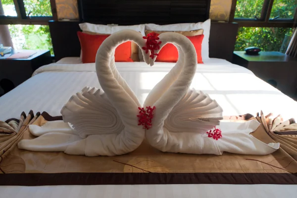 Thaiand hotel cisnes — Fotografia de Stock