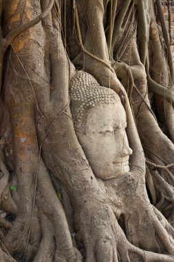 Ayutthaya unesco tapınaklar