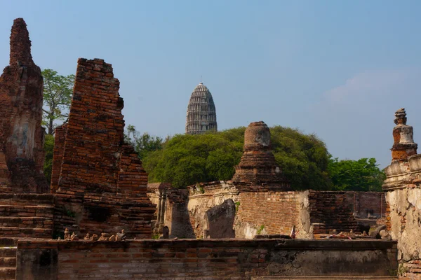 Ayutthaya unesco tapınaklar — Stok fotoğraf