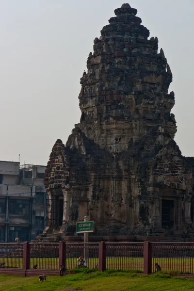 Templo do Macaco Lopburi — Fotografia de Stock