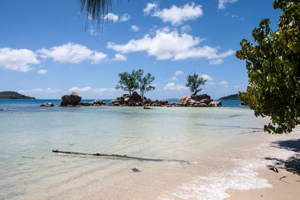 Anse tröst stranden på praslin i Seychellerna — Stockfoto