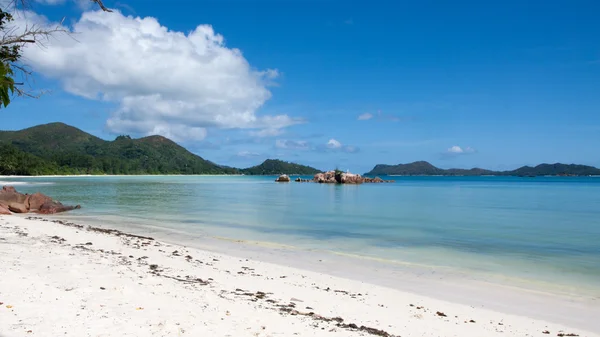 Anse gouvemement beach på praslin i Seychellerna — Stockfoto