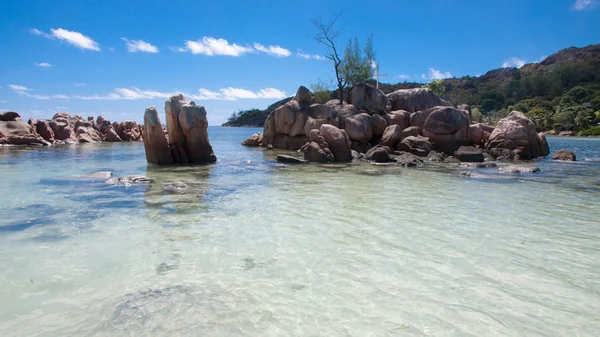 Anse volbert stranden på praslin i Seychellerna — Stockfoto