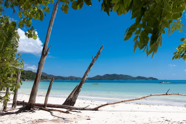 Anse volbert stranden på praslin i Seychellerna — Stockfoto