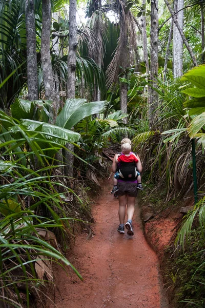 Valle de mai unesco praslin na Seszelach — Zdjęcie stockowe