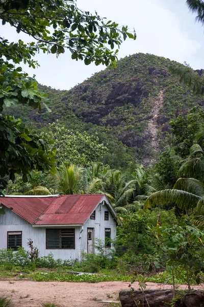 Anse La Blague Beach เดินในปรัสลิน เซเชลส์ — ภาพถ่ายสต็อก