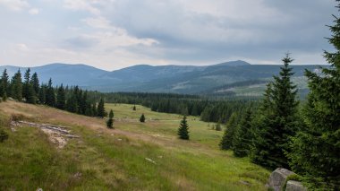 karkonosze dağ manzaralarına ve doğa yürüyüşü