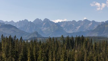 Tatry dağlara bukowina tatrzanska göster