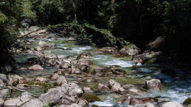 javorova Vadisi tatry Mountains, Slovakya