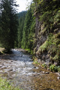 tatry dağlara Koscieliska vadide