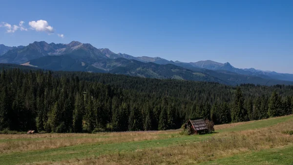 Tatry dağlara bukowina tatrzanska göster — Stok fotoğraf