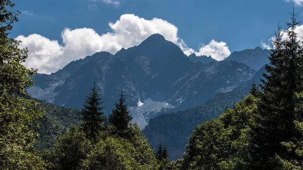 Javorova κοιλάδα, στα βουνά tatry στη Σλοβακία — Φωτογραφία Αρχείου