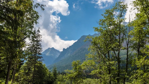 Tatry dağlara bielovodska Vadisi — Stok fotoğraf