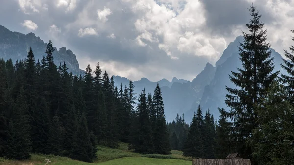 Tatry dağlara bielovodska Vadisi — Stok fotoğraf