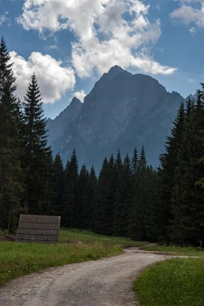 Valle di Bielovodska nelle montagne Tatry — Foto Stock