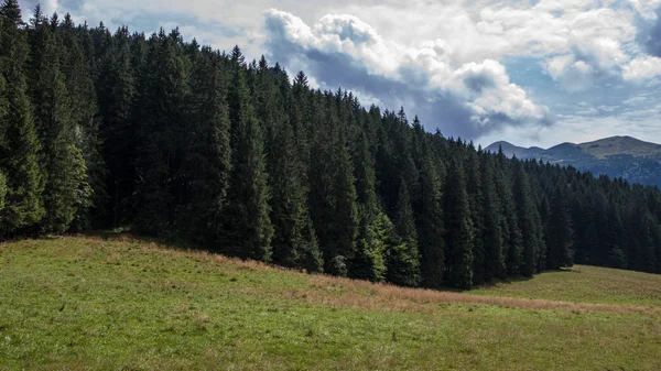 Vale Koscieliska em Tatry Mountains — Fotografia de Stock