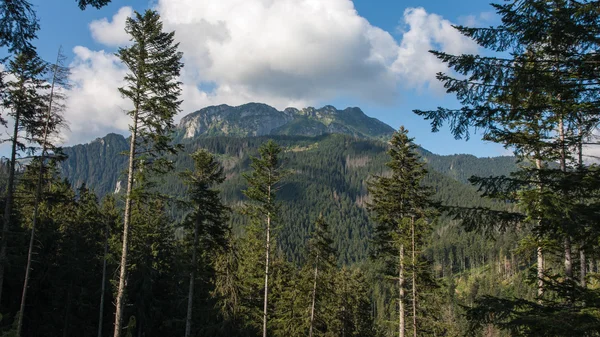 Tatry Berge Ansichten und Trekking Czerwone schräg — Stockfoto