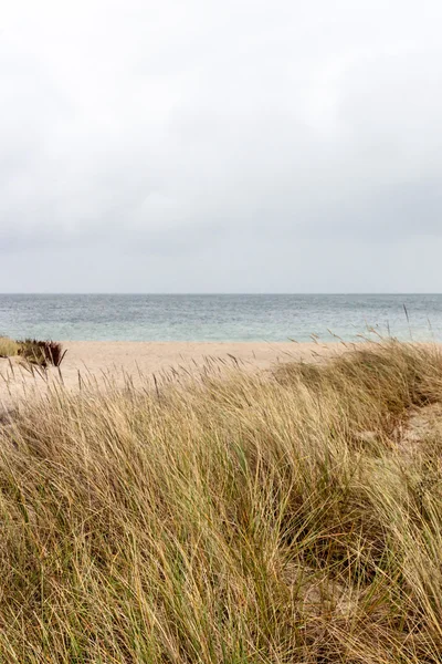 Hel plaj sahil Polonya pomerania içinde