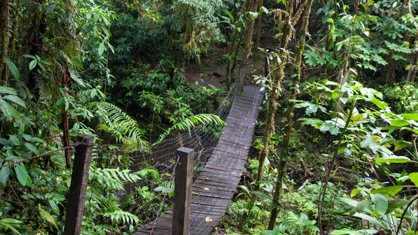 Río Celeste — Foto de Stock