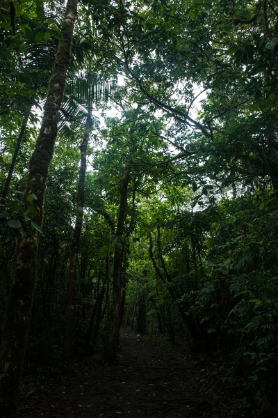 Río Celeste — Foto de Stock