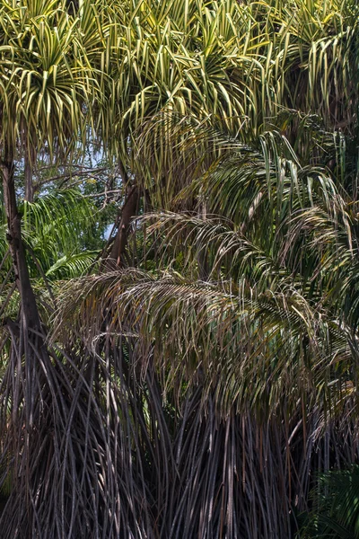 Hotel nejlepších resortů v Costa Rica — Stock fotografie