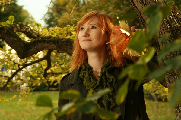 Green tree — Stock Photo, Image